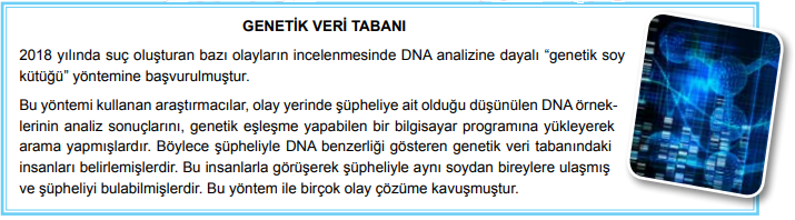 Soy Kütüğü DNA