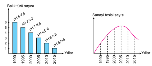 Grafik