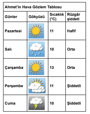 Hava Gözlem Tablosu