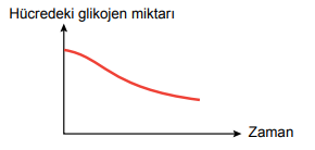 Glikojen Grafiği