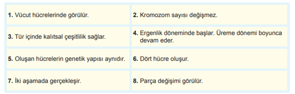Bölünme Özellikleri