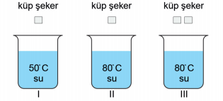 Soru 19 Görseli