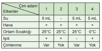 Çim adam deneyi